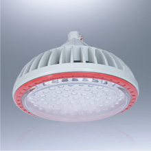 BLD88(BZD118)系列防爆免維護(hù)LED節(jié)能燈