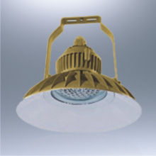 BLD77系列防爆免維護(hù)LED節(jié)能燈